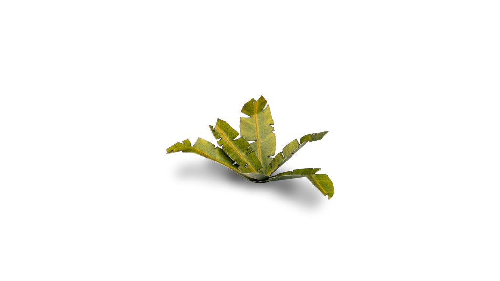 Laser Plants - Banana Tree 1