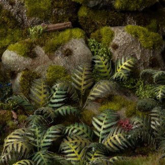 Laser Plants - Bracken 1