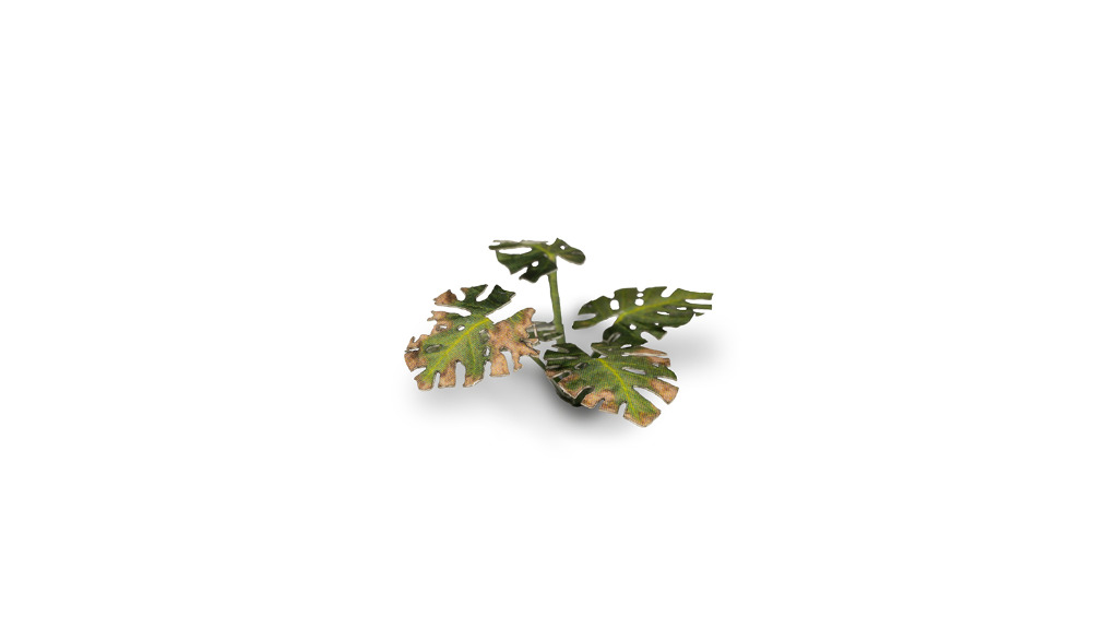 Laser Plants - Monstera 3