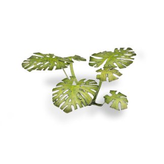 Laser Plants - Monstera 1