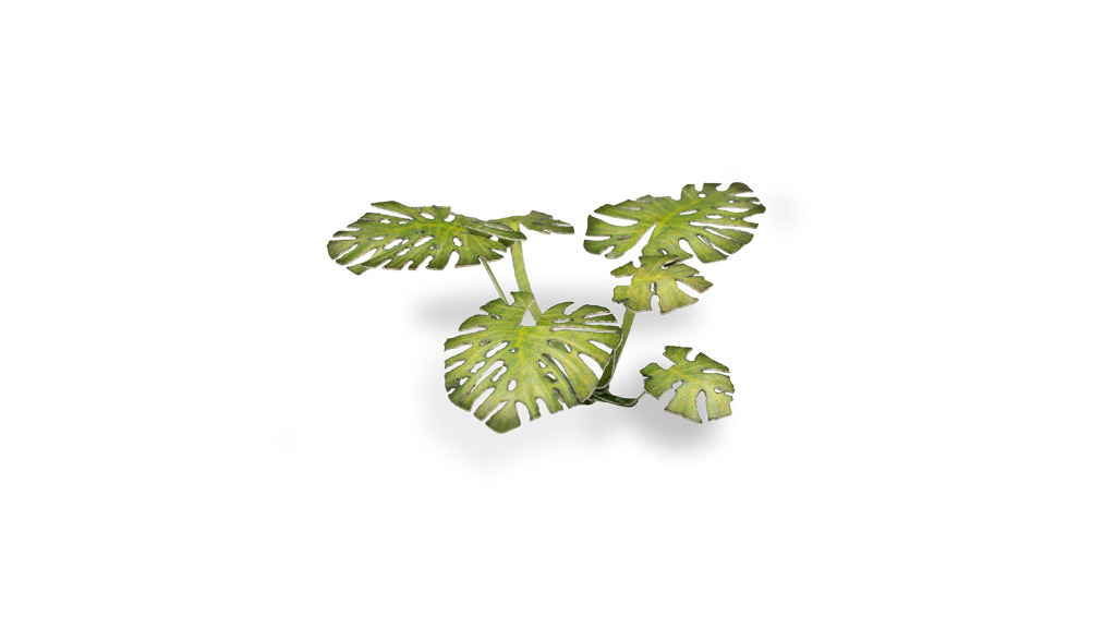 Laser Plants - Monstera 1