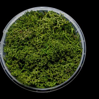 Green Hedge Basing Material 1