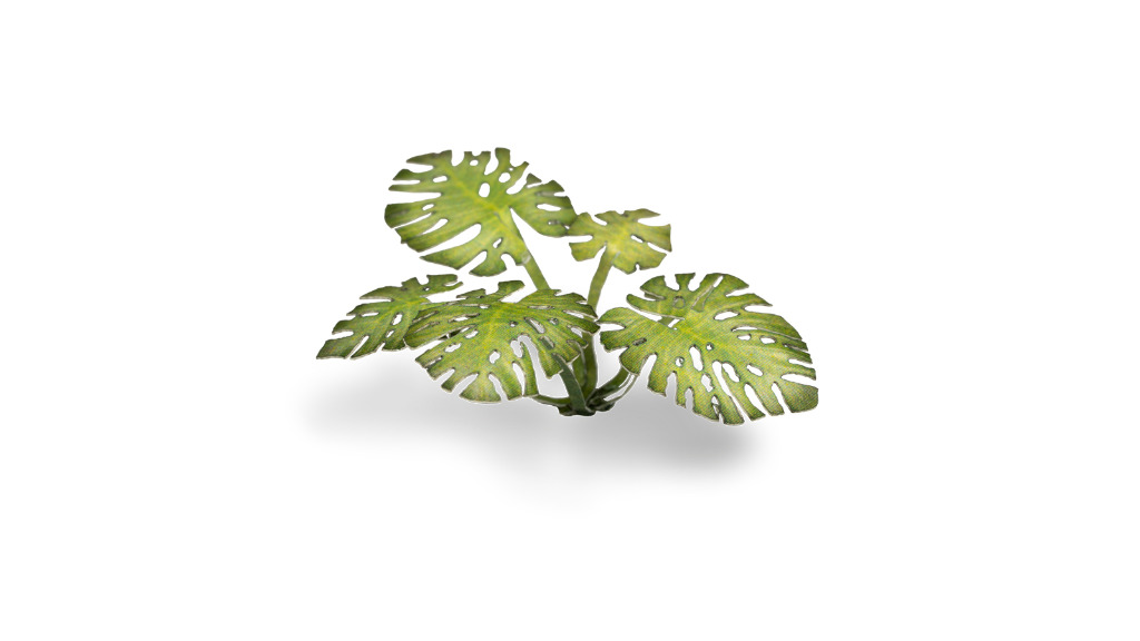Laser Plants - Monstera 2