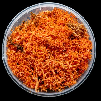 Blazing Hedge Basing Material 1