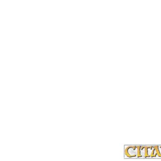 Warhammer Colour - Layer: White Scar 12ml 1