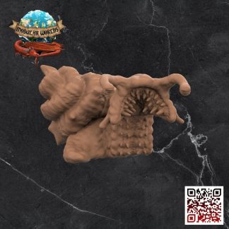 Giant Chiton 1