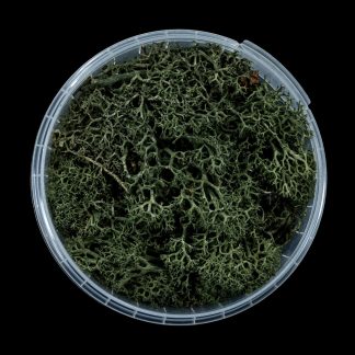 Darkwood Hedge Basing Material 1