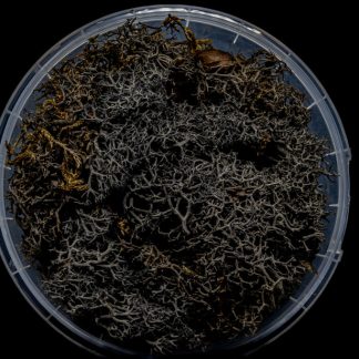 Burnt Hedge Basing Material 1