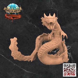 Dracofish 1
