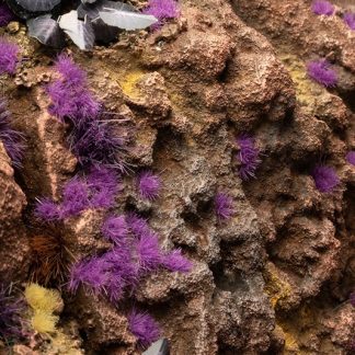 Alien Purple - Tiny Tufts 2mm 1