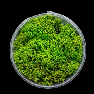 Lush Hedge Basing Material 1