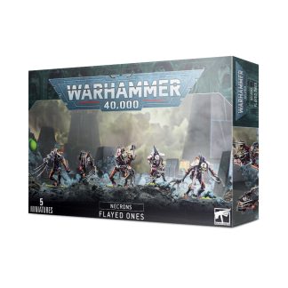 Necrons: Flayed Ones 1