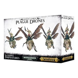 Plague Drones of Nurgle 1