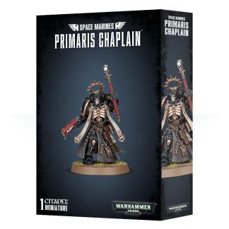 Space Marines: Primaris Chaplain 1