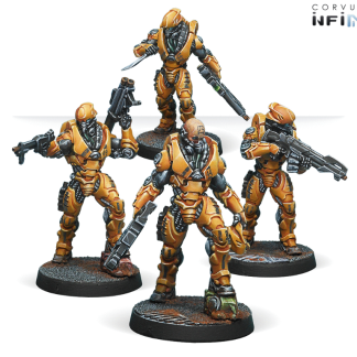 Wu Ming Assault Corps 1