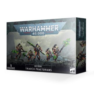 Necrons: Triarch Praetorians / Lychguard 1