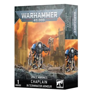 Space Marines: Chaplain In Terminator Armour 1
