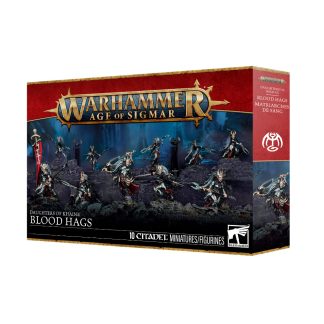 Daughters of Khaine: Blood Hags 1