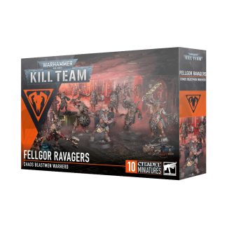Kill Team: Fellgor Ravagers 1