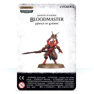Blades of Khorne: Bloodmaster, Herald of Khorne 1