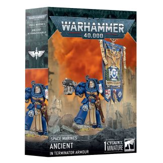Space Marines: Ancient in Terminator Armour 1