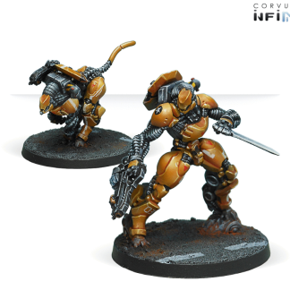 Su-Jian Immediate Action Unit 1