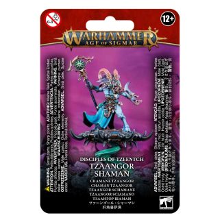 Disciples of Tzeentch: Tzaangor Shaman 1
