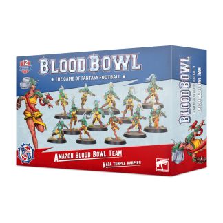 Blood Bowl: Amazon Team - Kara Temple Harpies 1