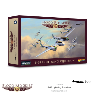 US P-38 Lightning Squadron 1