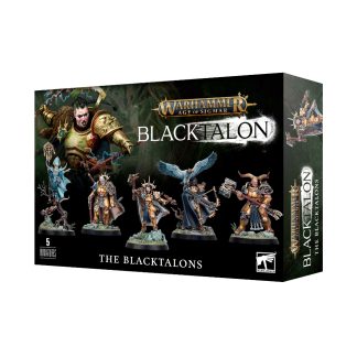 Stormcast Eternals: The Blacktalons 1