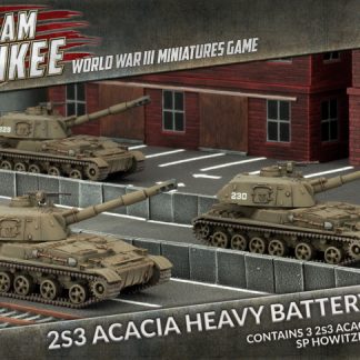 2S3 Acacia Heavy SP Howitzer Battery 1