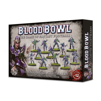 Blood Bowl: Dark Elf Team - The Naggaroth Nightmares 1