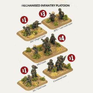 Mechanised Infantry Platoon 1