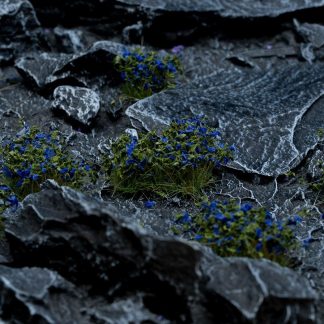 Bluebeard Flowers 1