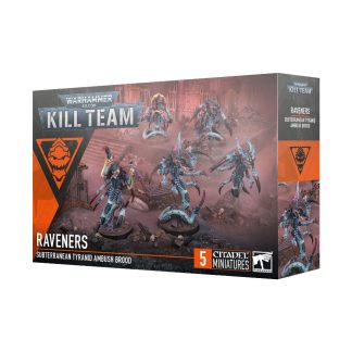 Kill Team: Raveners 1