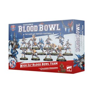 Blood Bowl: High Elf Blood Bowl Team - The Caledor Dragons 1
