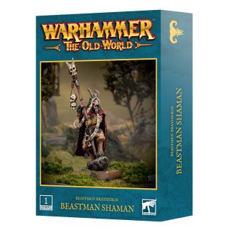 Beastmen Brayherds: Beastman Shaman 1