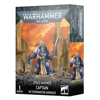 Space Marines: Captain In Terminator Armour 1
