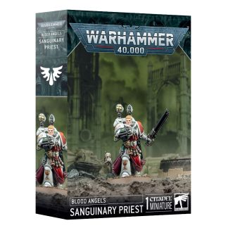 Blood Angels: Sanguinary Priest 1