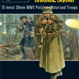 Polish 10th Motorised Brigade Squad 1