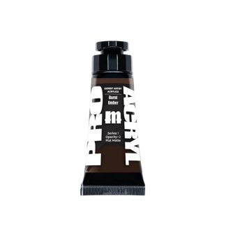 Expert Acrylics - Burnt Umber 007 - 30ml 1