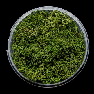 Green Hedge Basing Material 1