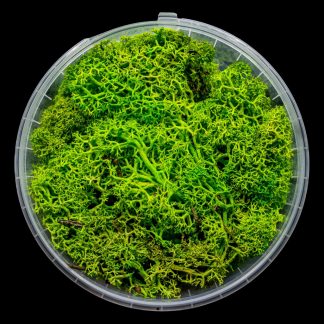 Lush Hedge Basing Material 1