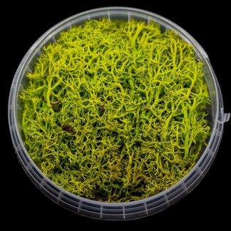 Toxic Hedge Basing Material 1