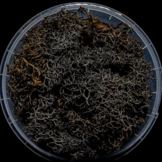 Burnt Hedge Basing Material 1