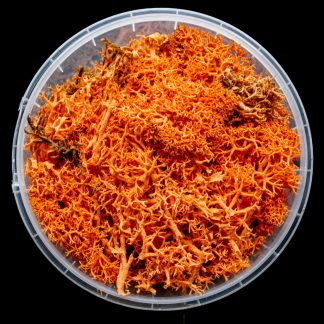 Blazing Hedge Basing Material 1