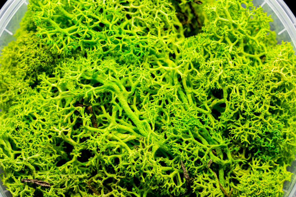Lush Hedge Basing Material 4