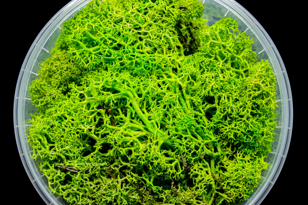 Lush Hedge Basing Material 3