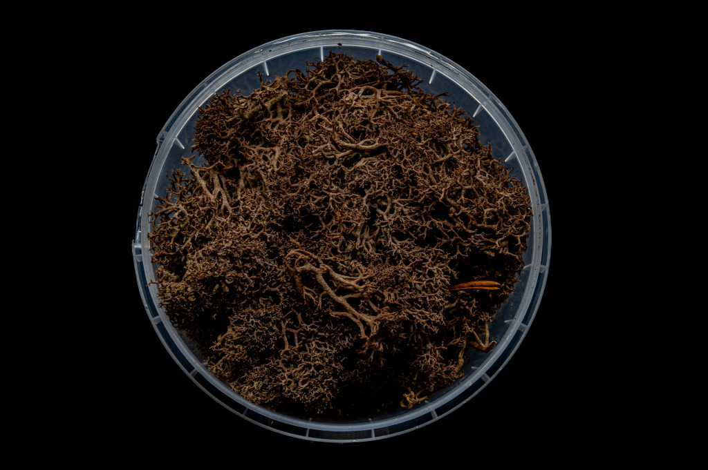 Deadwood Hedge Basing Material 2