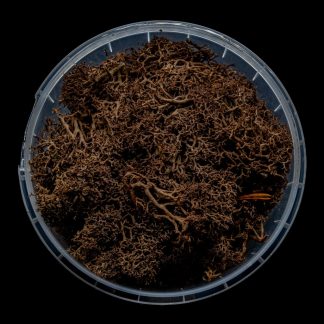 Deadwood Hedge Basing Material 1